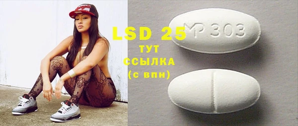 ПСИЛОЦИБИНОВЫЕ ГРИБЫ Алагир