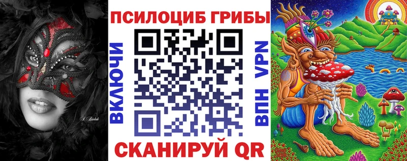 закладка  Елабуга  Галлюциногенные грибы мицелий 